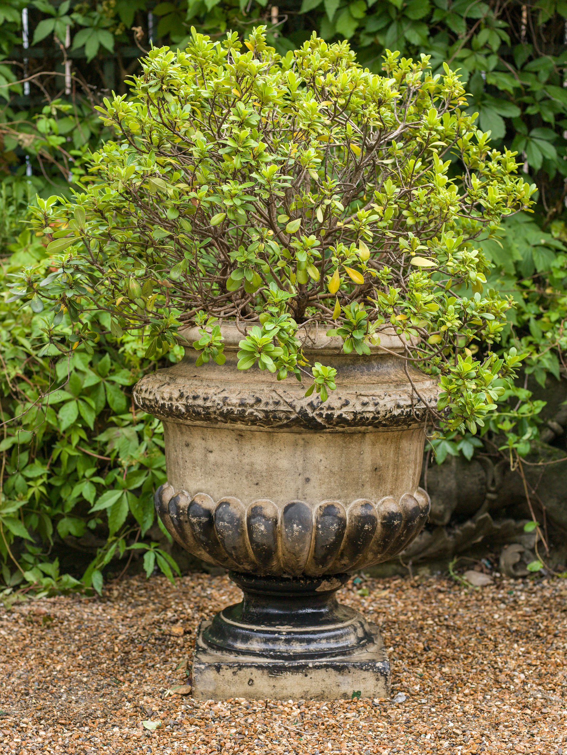 A Garnick Fireclay Terracotta Garden Urn 