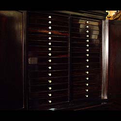 An ebony Regency antique collectors cabinet    