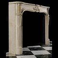 Carved Stone Rococo Louis XV Antique Fireplace | Westland London