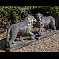 Medici Lions Stone Florence 20th Century | Westland London