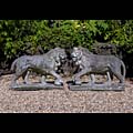 Prowling Stone Medici Lions Florence  | Westland London