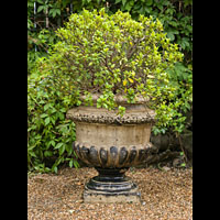 Large Garnick Terracotta Garden Urn | Westland Antiques