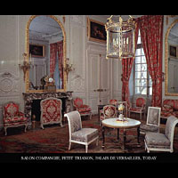 French Regency Salon Antique Marble Fireplace | Westland London