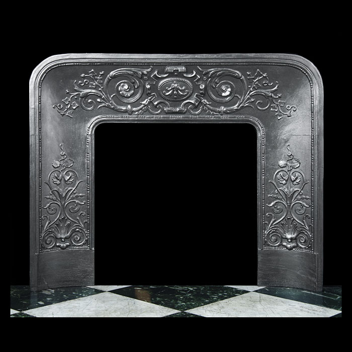 A Louis XIV Style Cast Iron Fireplace insert