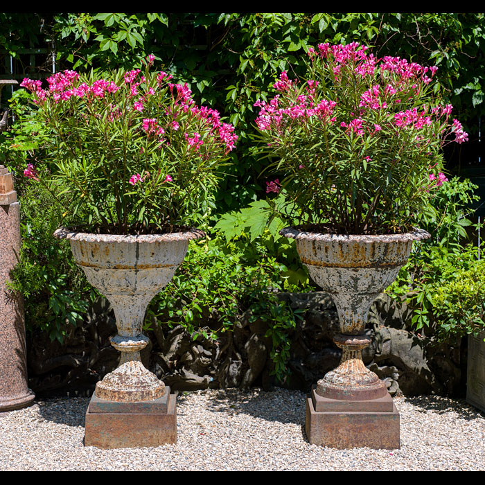 A pair of cast iron Victorian garden urns    