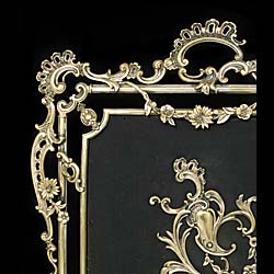 Early 20th Century Rococo Style Fire Screen