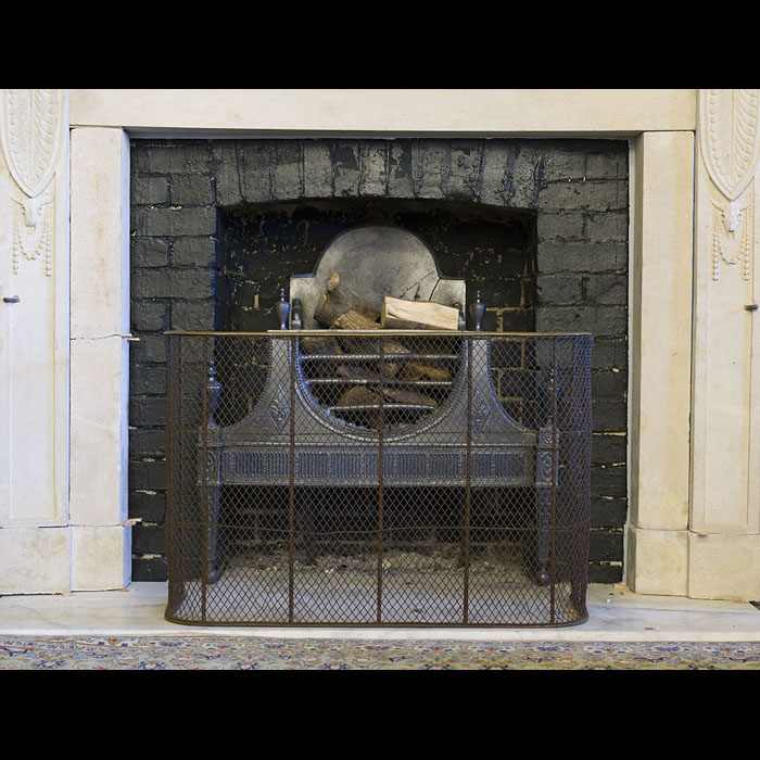 A mesh and brass antique nursery fender